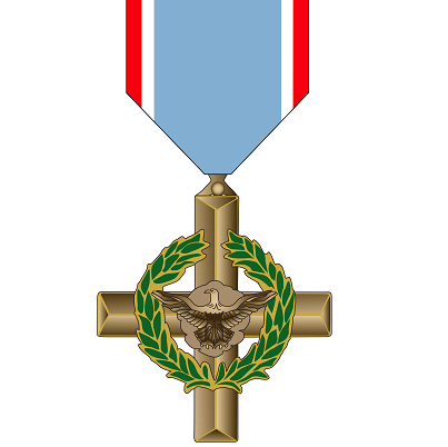 外交战线十字勋章